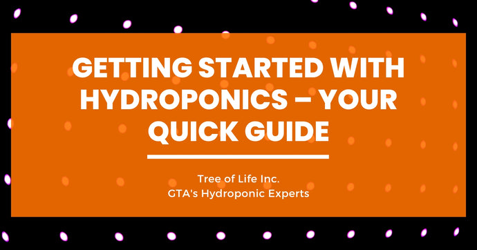 Getting Started with Hydroponics – Your Quick Guide