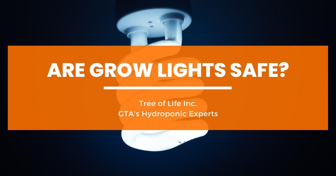 Are Grow Lights Safe?