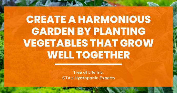 Create a Harmonious Garden by Planting Vegetables That Grow Well Together