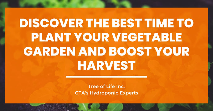 Discover the Best Time to Plant Your Vegetable Garden and Boost Your Harvest