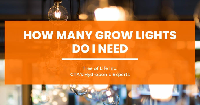 How Many Grow Lights Do I Need?