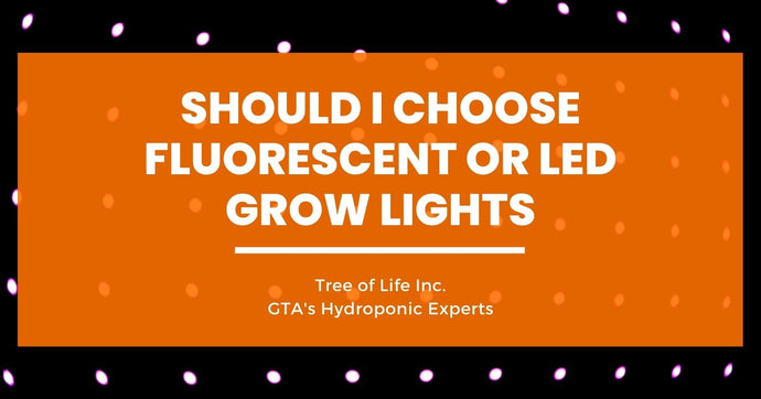 Should I Choose Fluorescent or LED Grow Lights