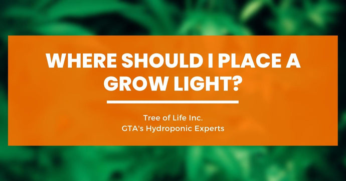 Where Should I Place a Grow Light for Hydroponic Growing