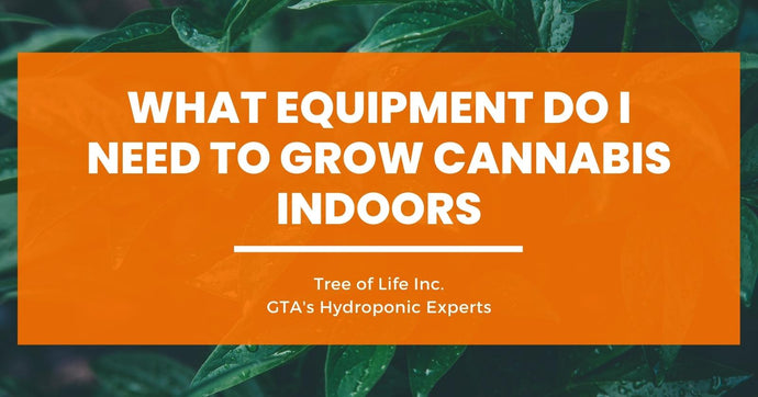 What Equipment Do I Need to Grow Cannabis Indoors