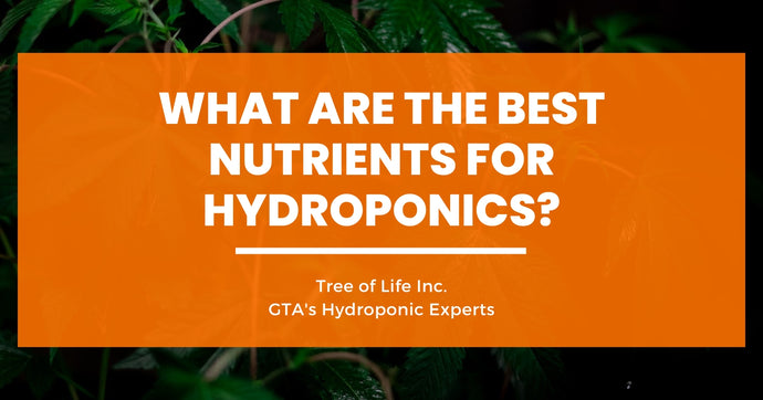 What are the Best Nutrients for Hydroponics?