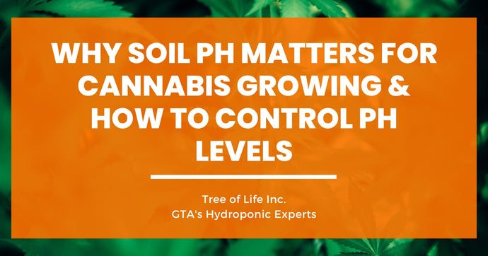 Why Soil pH Matters for Cannabis Growing & How to Control pH Levels