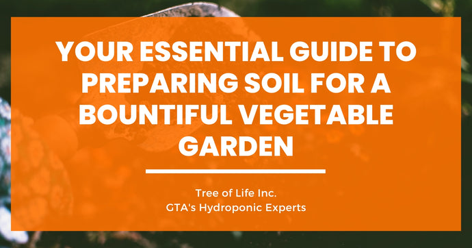 Your Essential Guide to Preparing Soil for a Bountiful Vegetable Garden