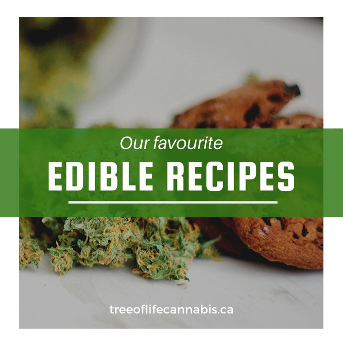 Our 3 Favorite Ways to Bake Edibles at Home