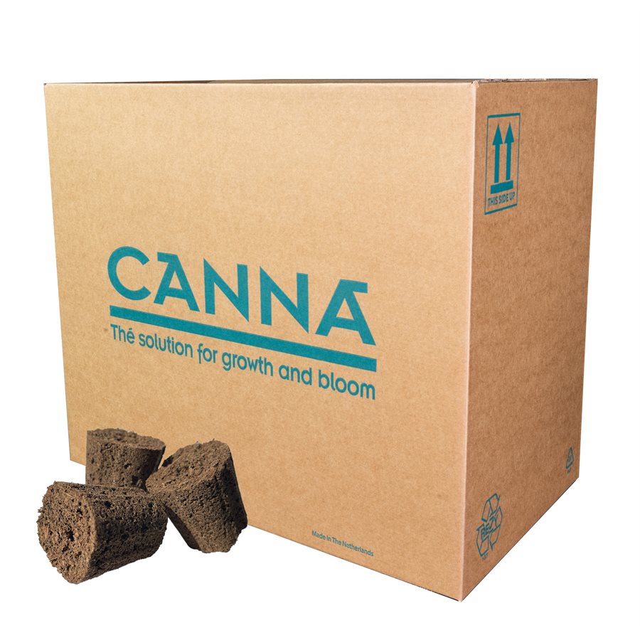 CANNA Rootplugs - Individual / Case