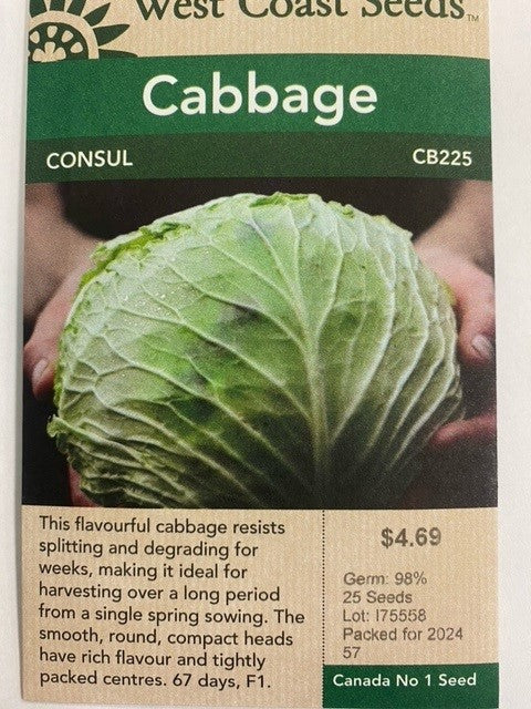 Cabbage - Consul 25 Seeds