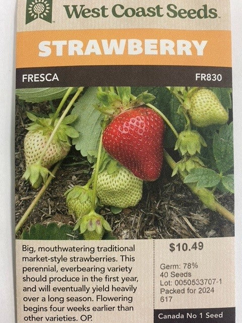 Strawberry - Fresca 40 Seeds