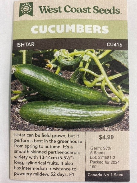 Cucumbers - Ishtar 5 Seeds