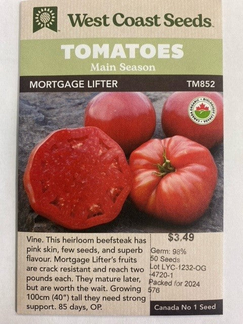 Tomatoes Main Season - Mortgage Lifter (Beefsteak) 50 Seeds