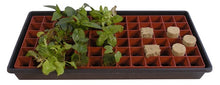 Load image into Gallery viewer, Grodan Gro-Smart Tray Insert - 78 Cells
