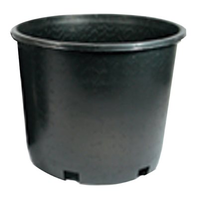 1 Gallon Plastic Nursery Pot