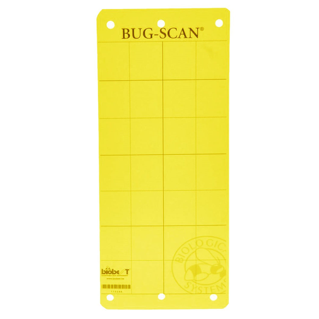 Bug Scan Yellow Trap (Aphid / Whitefly) 20/pk