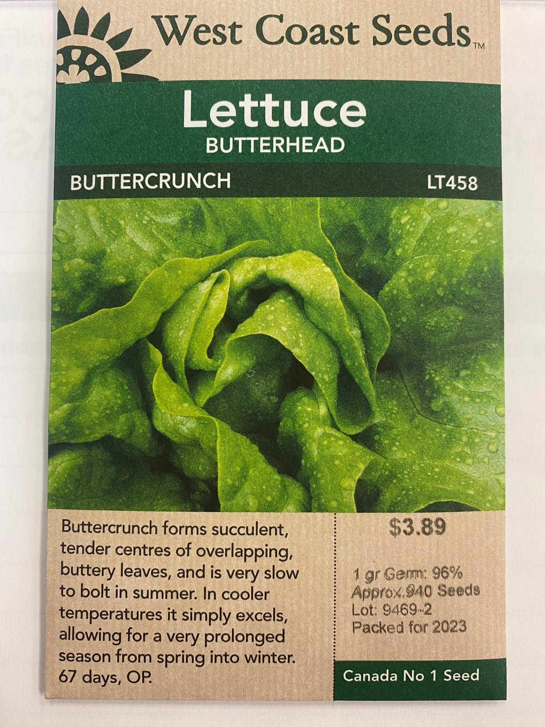 Lettuce Butterhead - Buttercrunch 1gr