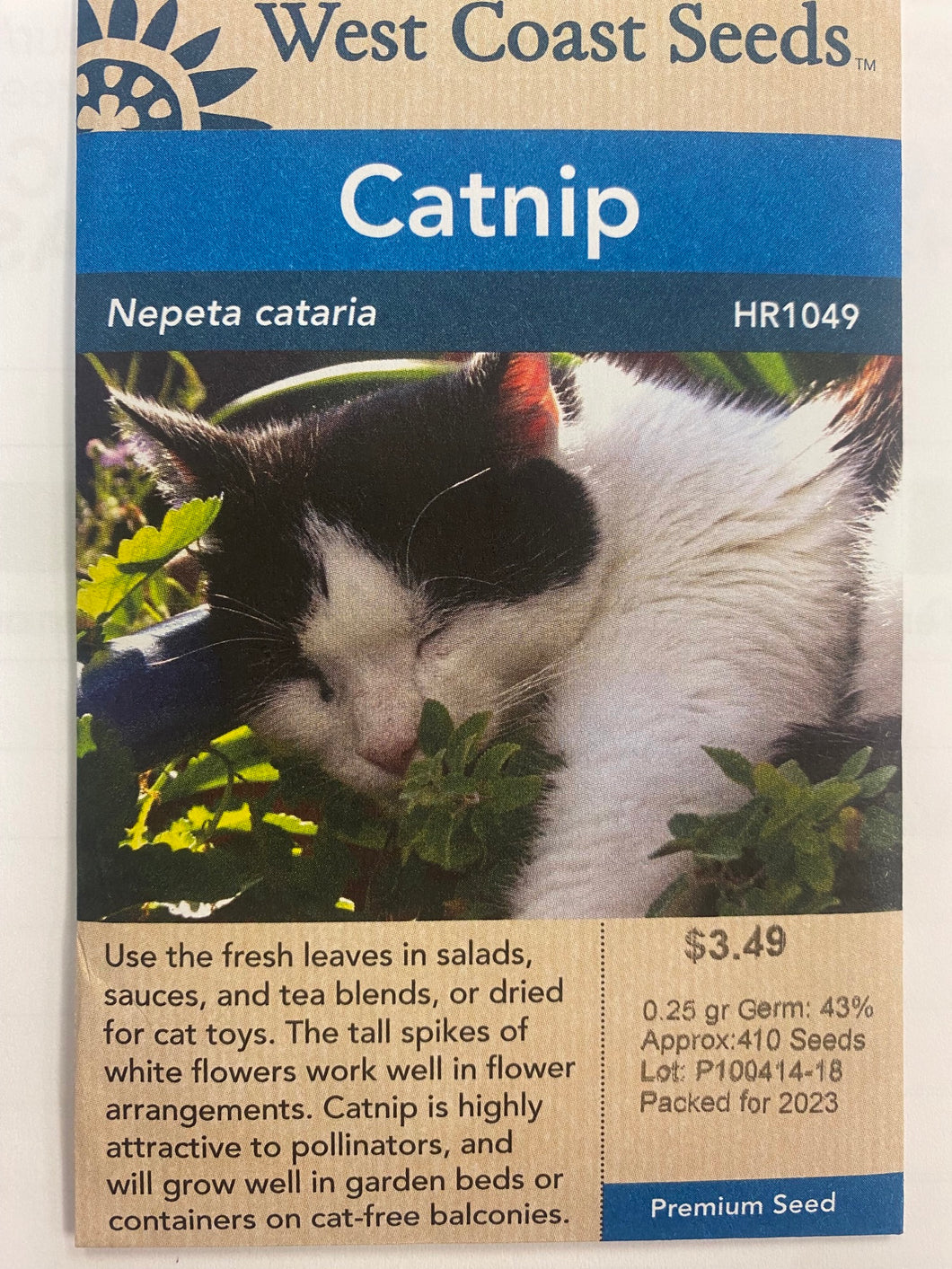 Catnip - Nepeta Cataria 0.25gr