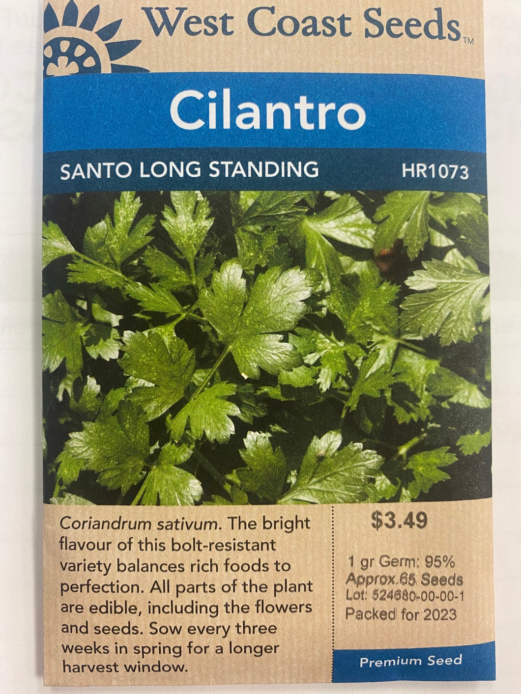 Cilantro - Santo Long Standing 1gr
