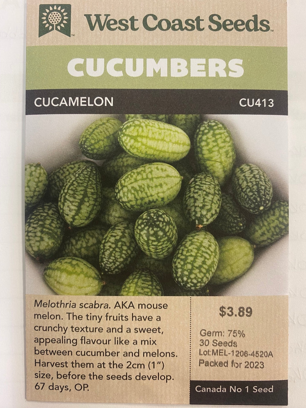 Cucumbers - Cucamelon 30 Seeds