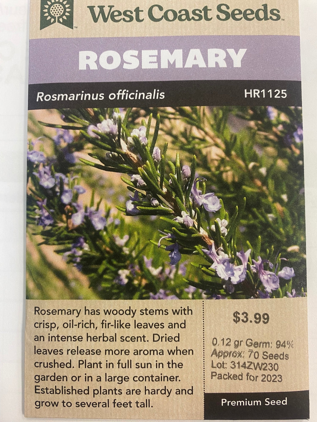 Rosemary - Rosmarinus Officinalis 0.12 gr