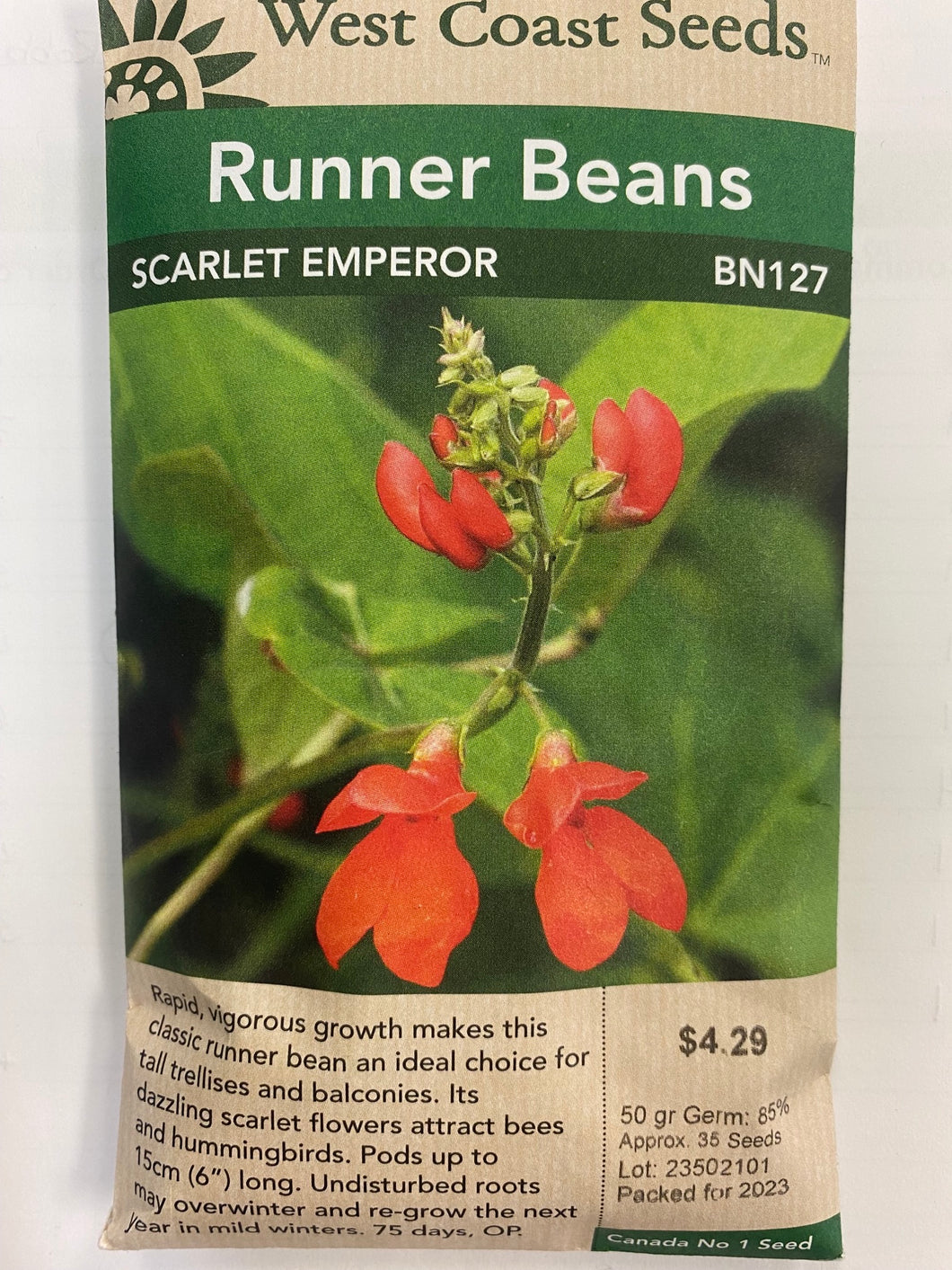 Runner Beans - Scarlet Emperor 50gr