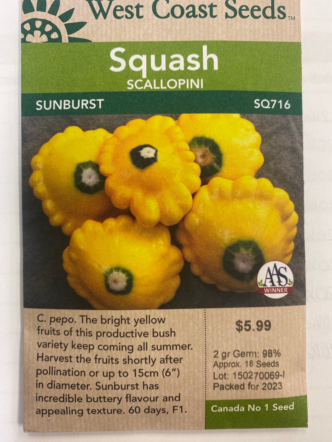 Squash Scallopini - Sunburst 2gr